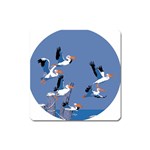 abstract Pelicans seascape tropical pop art Square Magnet Front