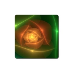 Orange Rose Square Magnet by Delasel