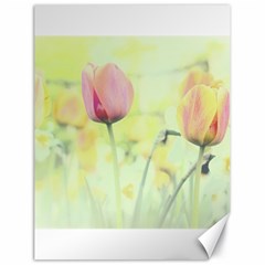 Softness Of Spring Canvas 18  X 24   by TastefulDesigns