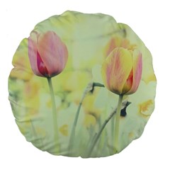 Softness Of Spring Large 18  Premium Flano Round Cushions by TastefulDesigns