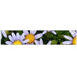 Yellow White Daisy Flowers Flano Scarf (Large) Back