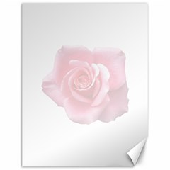 Pink White Love Rose Canvas 12  X 16   by yoursparklingshop