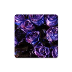 Purple Glitter Roses Valentine Love Square Magnet by yoursparklingshop