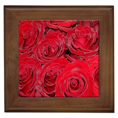 Red Roses Love Framed Tiles by yoursparklingshop