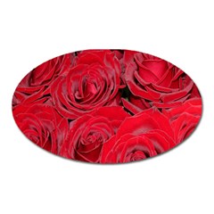 Red Roses Love Oval Magnet by yoursparklingshop