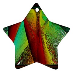 Stained Glass Window Star Ornament (two Sides)  by SugaPlumsEmporium