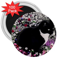 Freckles In Flowers Ii, Black White Tux Cat 3  Magnets (100 Pack) by DianeClancy