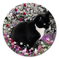 Freckles In Flowers Ii, Black White Tux Cat Magnet 5  (round) by DianeClancy