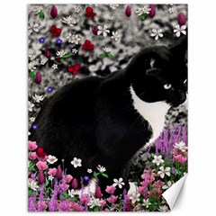 Freckles In Flowers Ii, Black White Tux Cat Canvas 12  X 16   by DianeClancy