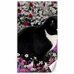 Freckles In Flowers Ii, Black White Tux Cat Canvas 40  X 72   by DianeClancy