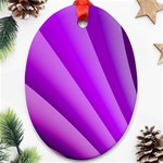 Gentle Folds Of Purple Ornament (Oval)  Front