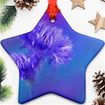 Purple Cornflower Floral  Ornament (Star)  Front