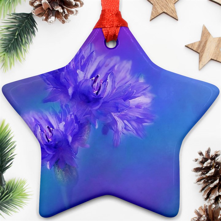 Purple Cornflower Floral  Ornament (Star) 