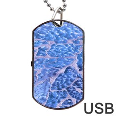 Festive Chic Light Blue Glitter Shiny Glamour Sparkles Dog Tag Usb Flash (two Sides)  by yoursparklingshop