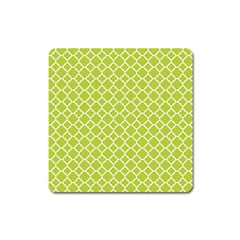 Spring Green Quatrefoil Pattern Magnet (square) by Zandiepants