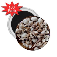 Tropical Sea Shells Collection, Copper Background 2 25  Magnets (100 Pack)  by yoursparklingshop