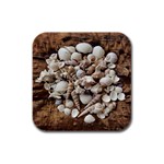 Tropical Sea Shells Collection, Copper Background Rubber Square Coaster (4 pack)  Front