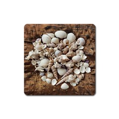 Tropical Sea Shells Collection, Copper Background Square Magnet by yoursparklingshop