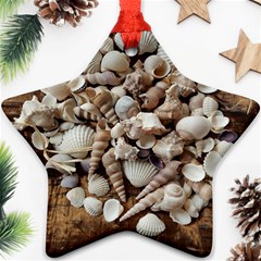 Tropical Sea Shells Collection, Copper Background Star Ornament (two Sides)  by yoursparklingshop