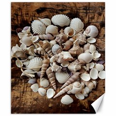 Tropical Sea Shells Collection, Copper Background Canvas 8  X 10  by yoursparklingshop