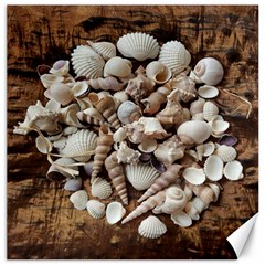 Tropical Sea Shells Collection, Copper Background Canvas 20  X 20   by yoursparklingshop