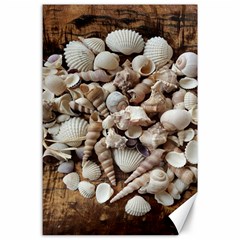 Tropical Sea Shells Collection, Copper Background Canvas 24  X 36  by yoursparklingshop