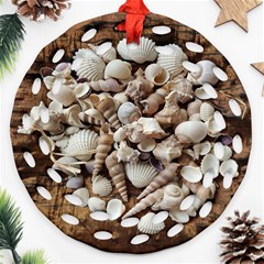 Tropical Sea Shells Collection, Copper Background Ornament (round Filigree)  by yoursparklingshop