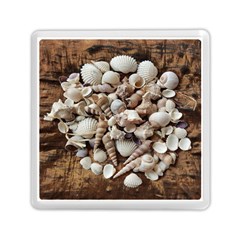 Tropical Sea Shells Collection, Copper Background Memory Card Reader (square)  by yoursparklingshop