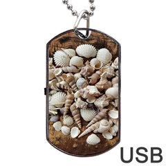 Tropical Sea Shells Collection, Copper Background Dog Tag Usb Flash (one Side) by yoursparklingshop