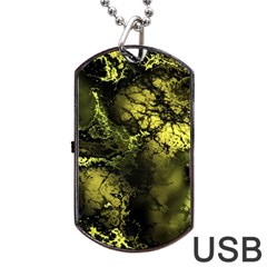 Amazing Fractal 24 Dog Tag Usb Flash (one Side) by Fractalworld