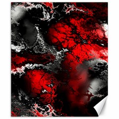 Amazing Fractal 25 Canvas 20  X 24  