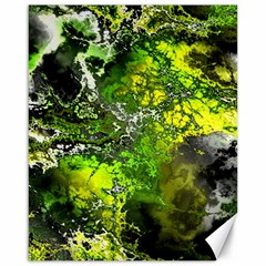 Amazing Fractal 27 Canvas 16  X 20   by Fractalworld