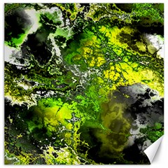 Amazing Fractal 27 Canvas 20  X 20   by Fractalworld