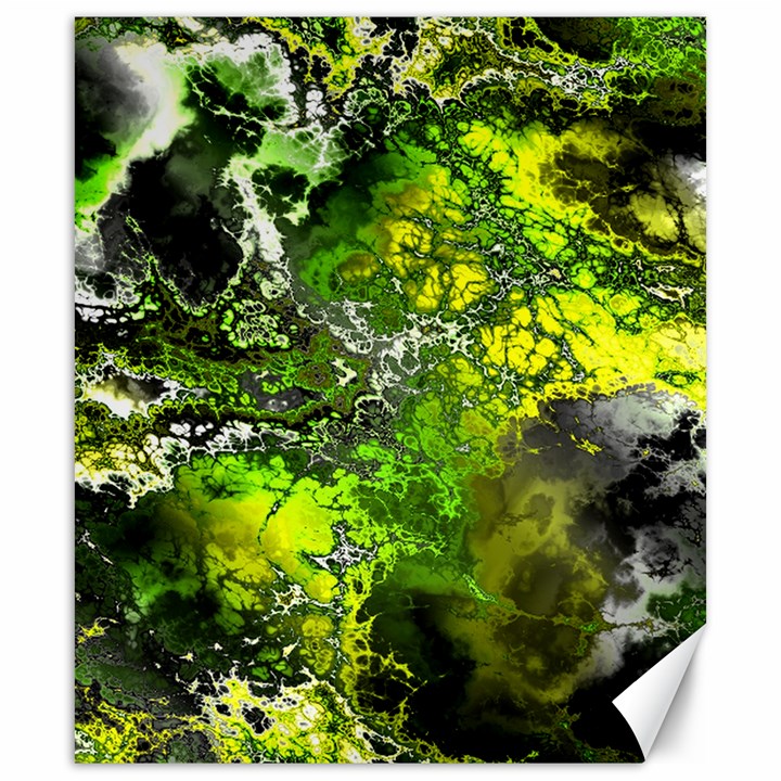 Amazing Fractal 27 Canvas 20  x 24  