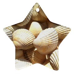 Tropical Exotic Sea Shells Ornament (star)  by yoursparklingshop