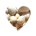 Tropical Exotic Sea Shells Heart Magnet Front