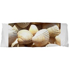 Tropical Exotic Sea Shells Samsung Galaxy Sl I9003 Hardshell Case