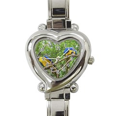 South American Couple Of Parrots Heart Italian Charm Watch by dflcprints