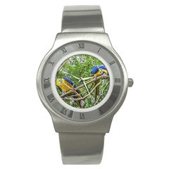 South American Couple Of Parrots Stainless Steel Watch by dflcprints