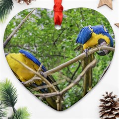 South American Couple Of Parrots Heart Ornament (2 Sides)