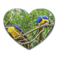 South American Couple Of Parrots Heart Mousepads by dflcprints