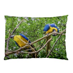 South American Couple Of Parrots Pillow Case by dflcprints