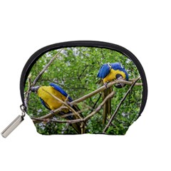 South American Couple Of Parrots Accessory Pouches (small)  by dflcprints