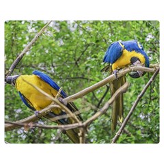 South American Couple Of Parrots Double Sided Flano Blanket (medium) 