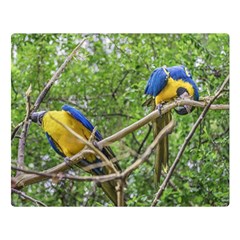 South American Couple Of Parrots Double Sided Flano Blanket (large) 