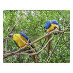 South American Couple Of Parrots Double Sided Flano Blanket (Large)  Blanket Back