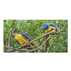 South American Couple Of Parrots Satin Shawl