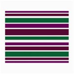 Purple Green Stripes Small Glasses Cloth (2-Side) Front