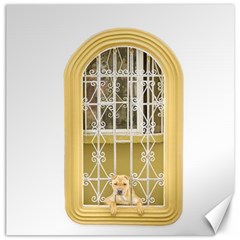 Dog Watching Through Windows House Canvas 16  X 16   by dflcprints