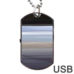 Pompey Beach Dog Tag Usb Flash (two Sides) 